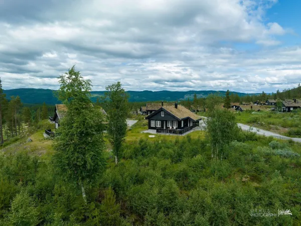 Ludvigsen