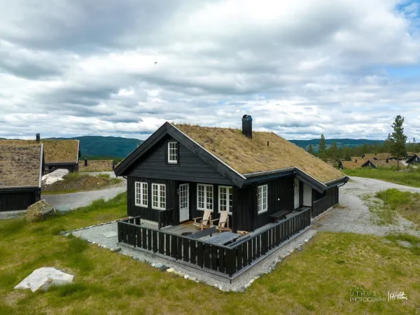 Ludvigsen