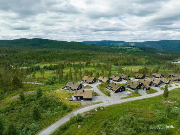 Ludvigsen