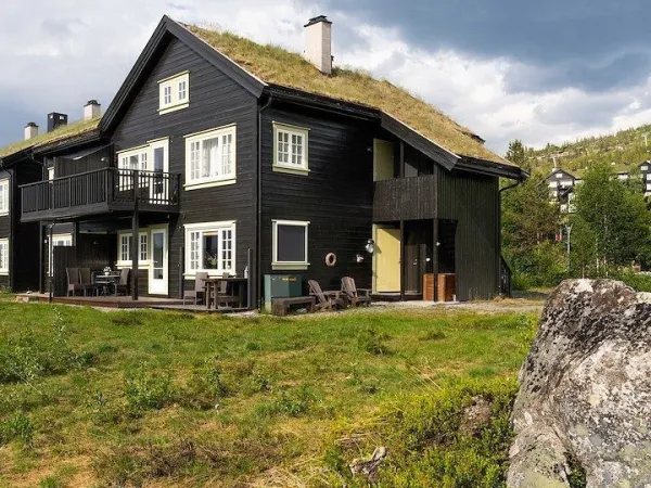 Fjellsol