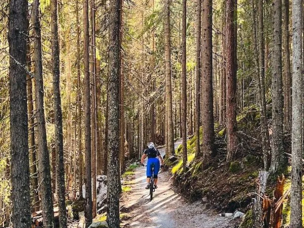 Fjellsol