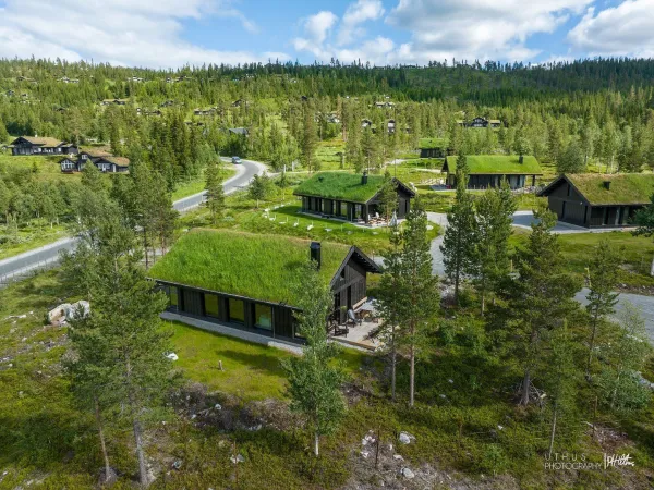 Skitunet