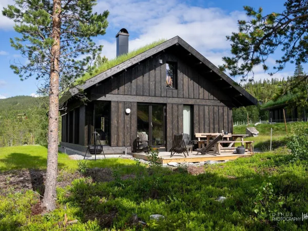 Skitunet