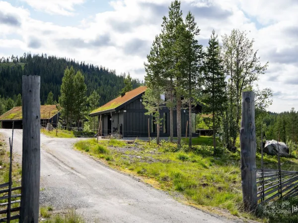 Skitunet