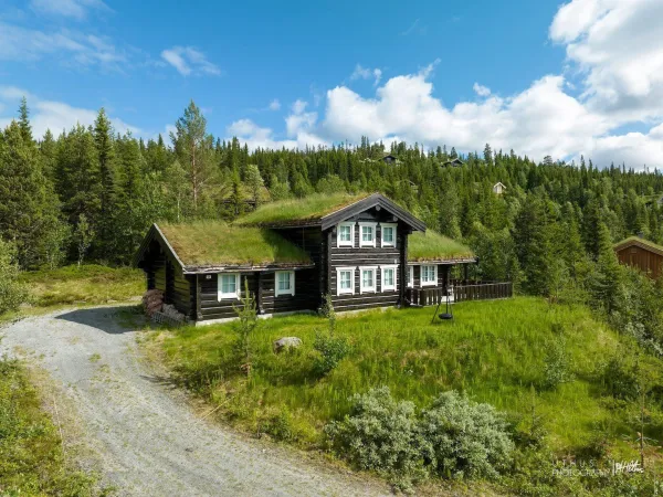 Klevstua