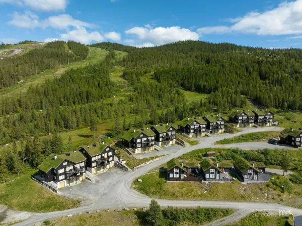Fjellbu