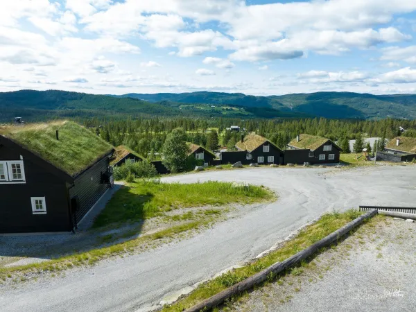 Fjellro