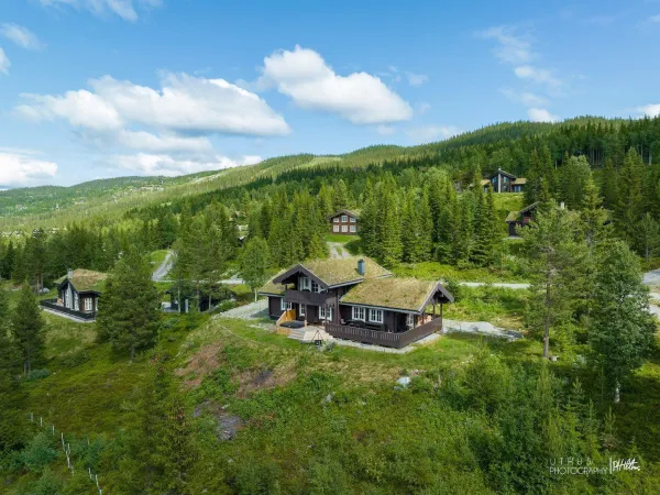 Fjellbris