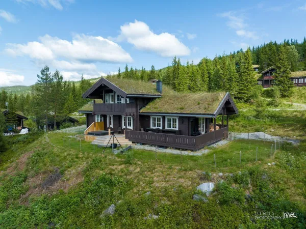 Fjellbris