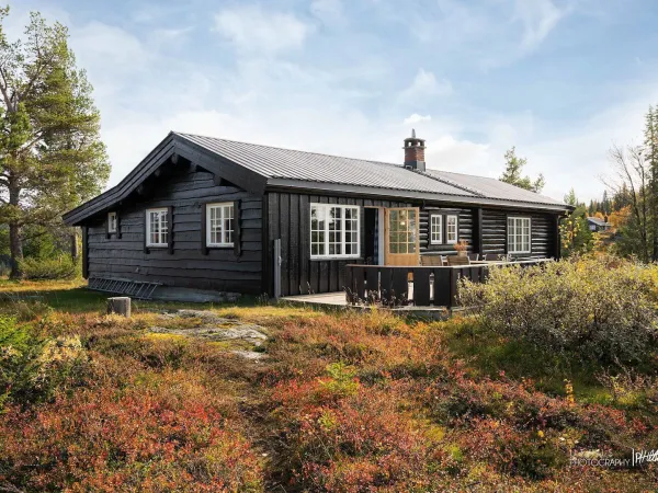 Gildeskål