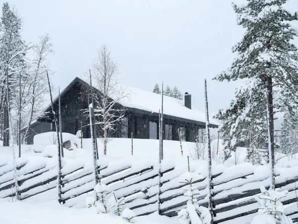 Skitunet