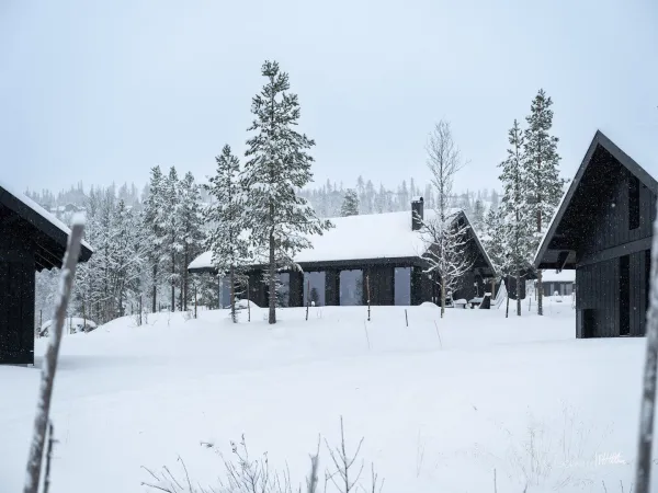 Skitunet