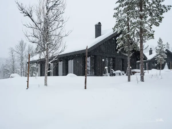 Skitunet