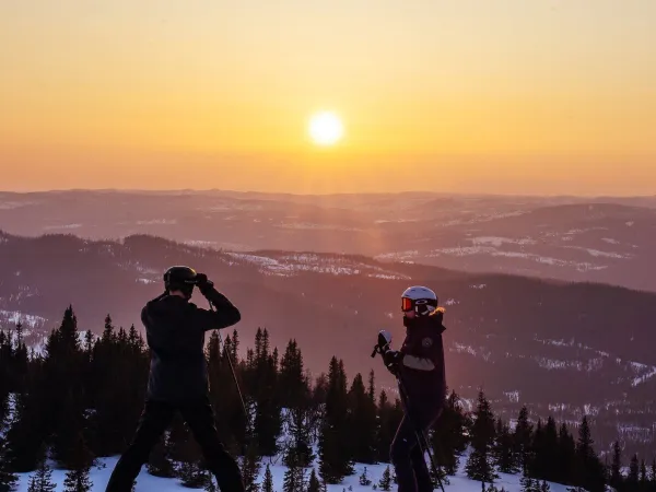 Fjellsol