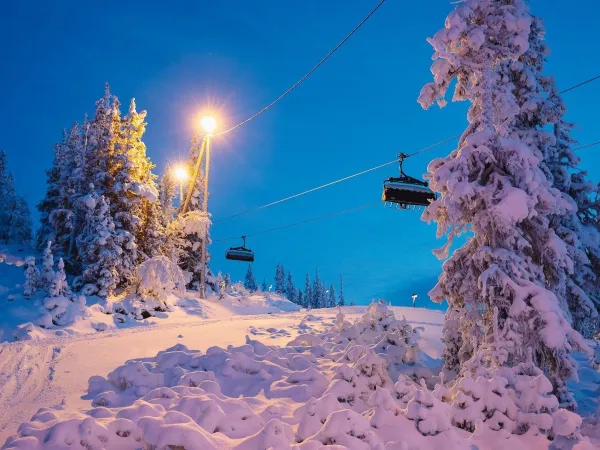 Fjellsol