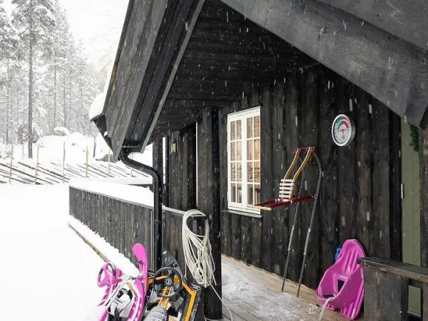 Solsikten