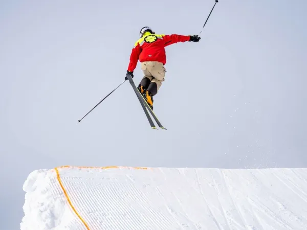 Fjellreven