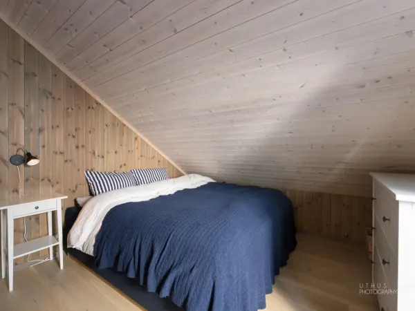 Fjellhvil