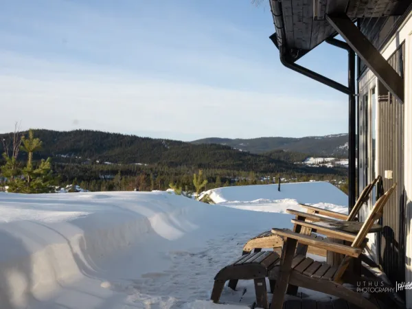 Fjellhvil