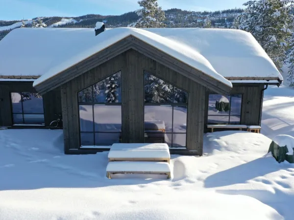 Fjellreven