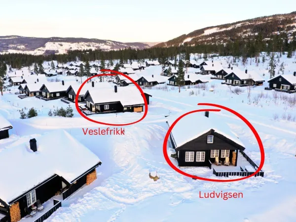 Veslefrikk