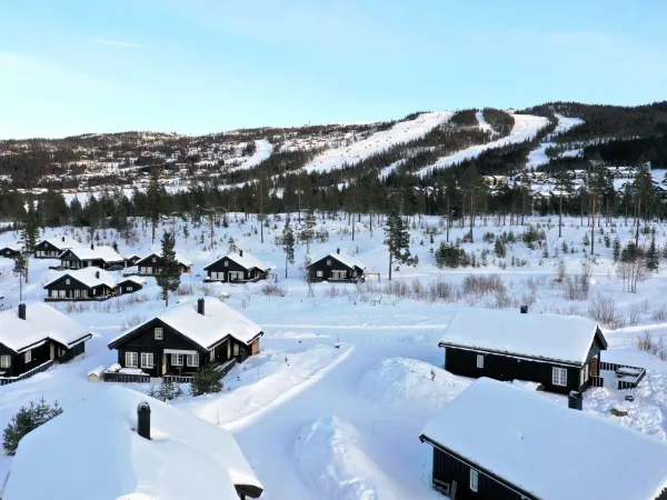 Ludvigsen