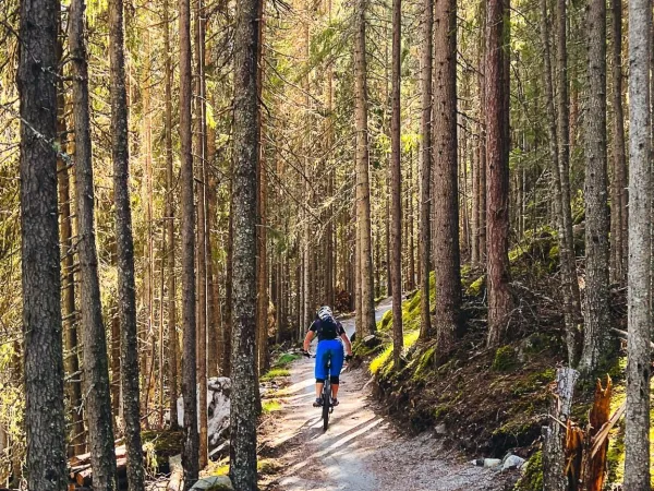 Innersvingen