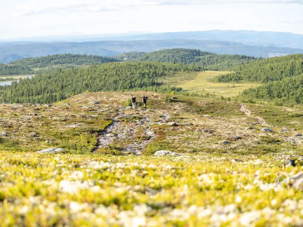 Ørneredet