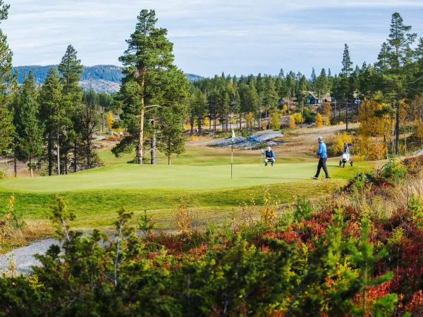 Golfweekend med 25 % på greenfee