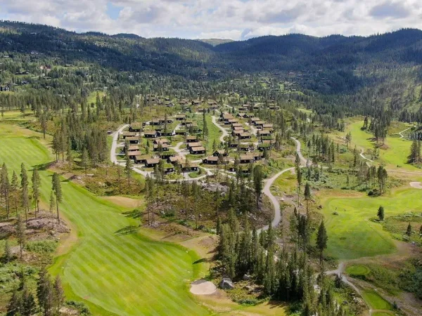 Fjellhvil