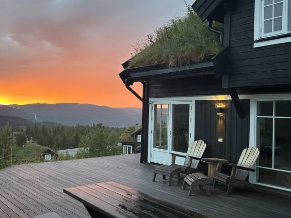Fjellhvil
