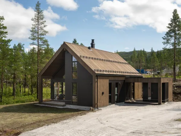 Fjellgrend