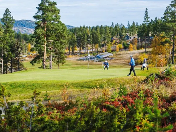 Bålpanna