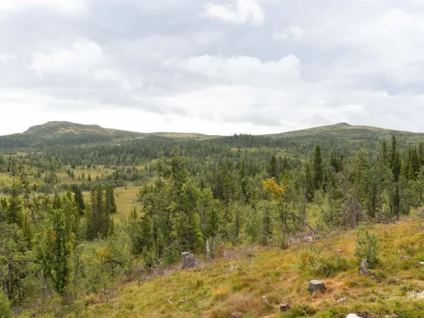 Østebu
