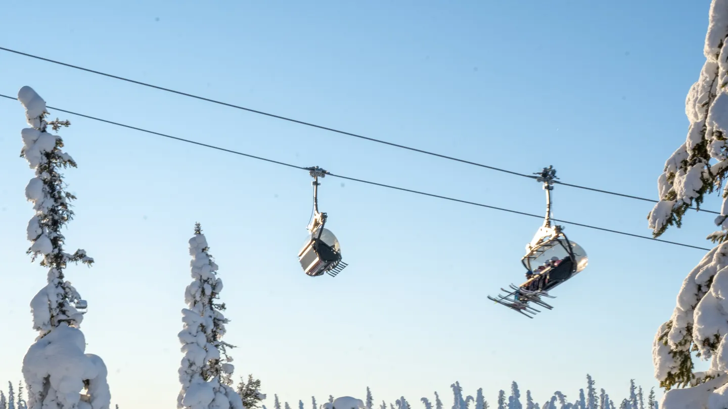 Nesfjellet Alpin & langrenn