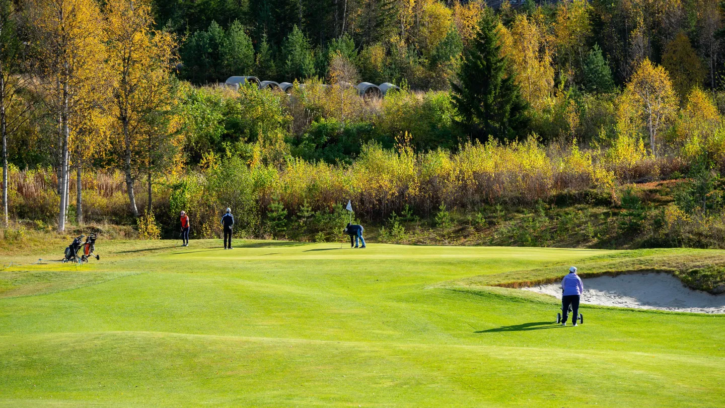 En gruppe mennesker som spiller golf