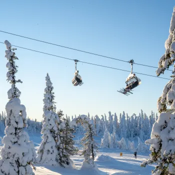 Nesfjellet Alpin & langrenn