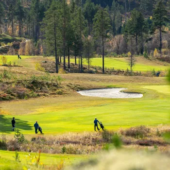 Tre golfere på Nesfjellet Golf i solskinn