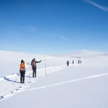 Trollsetutsikten