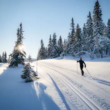 en person langrenn på et snødekt fjell