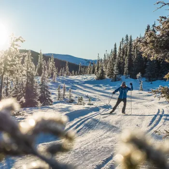 en person som går på ski på et snødekt fjell