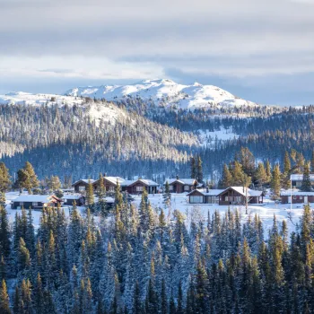 En gruppe hus i en snødekt skog