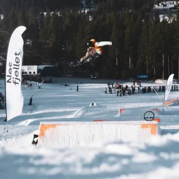 Skihopper i lufta