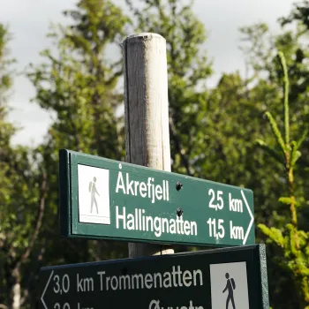 Bilde av stikryss-skilt Åkrefjell/trommenatten