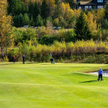 En gruppe mennesker som spiller golf