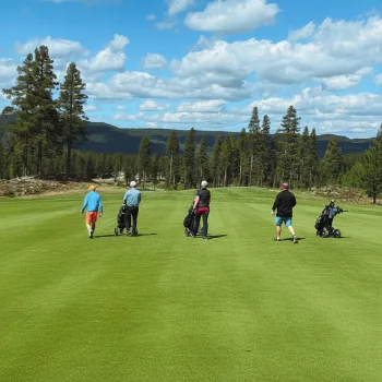 Styreleder går ret midt ned av fairway.