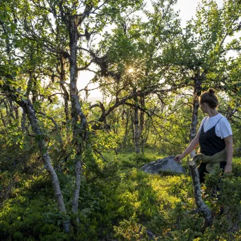 kvinne på tursti i Nesfjellet