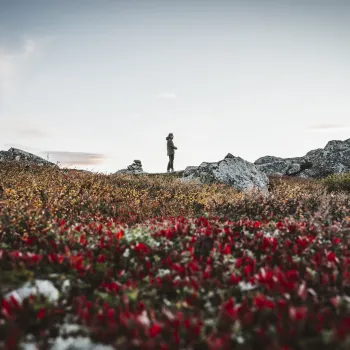 Person i solnedgang på fjellet i høstfarger