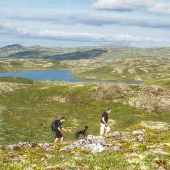 to personer og hund på tur opp Åkrefjell