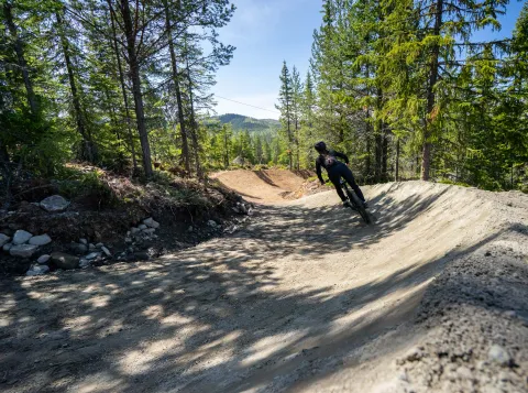 Syklist i Nesfjellet Bike Park